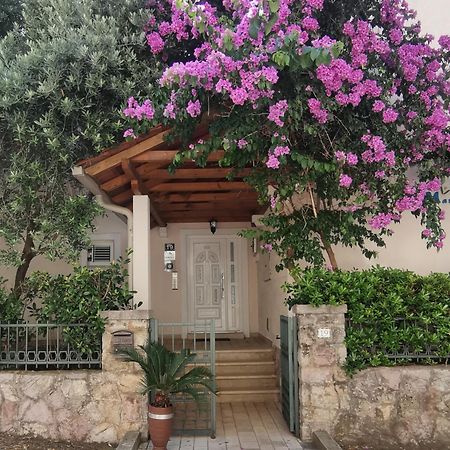 Apartments Maris Petrovac Luaran gambar