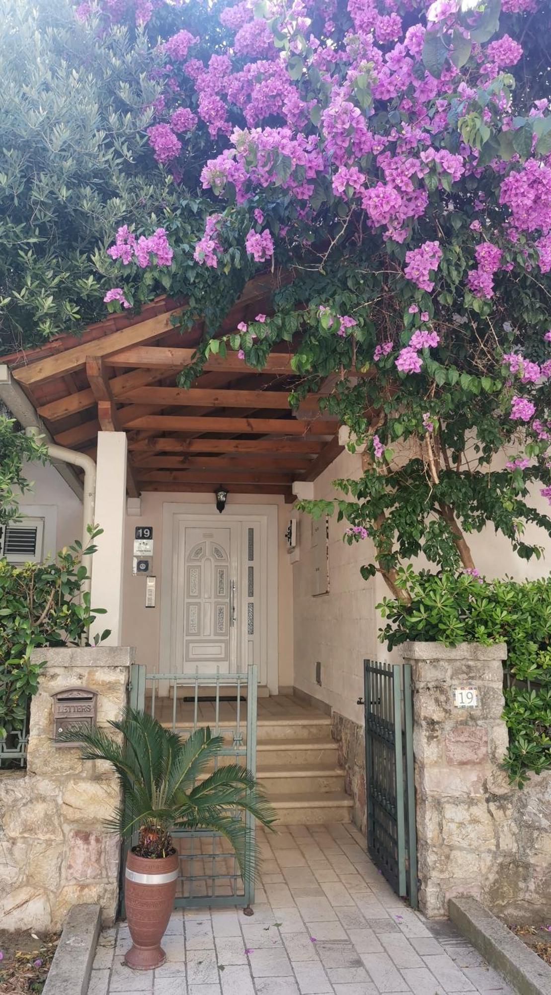 Apartments Maris Petrovac Luaran gambar