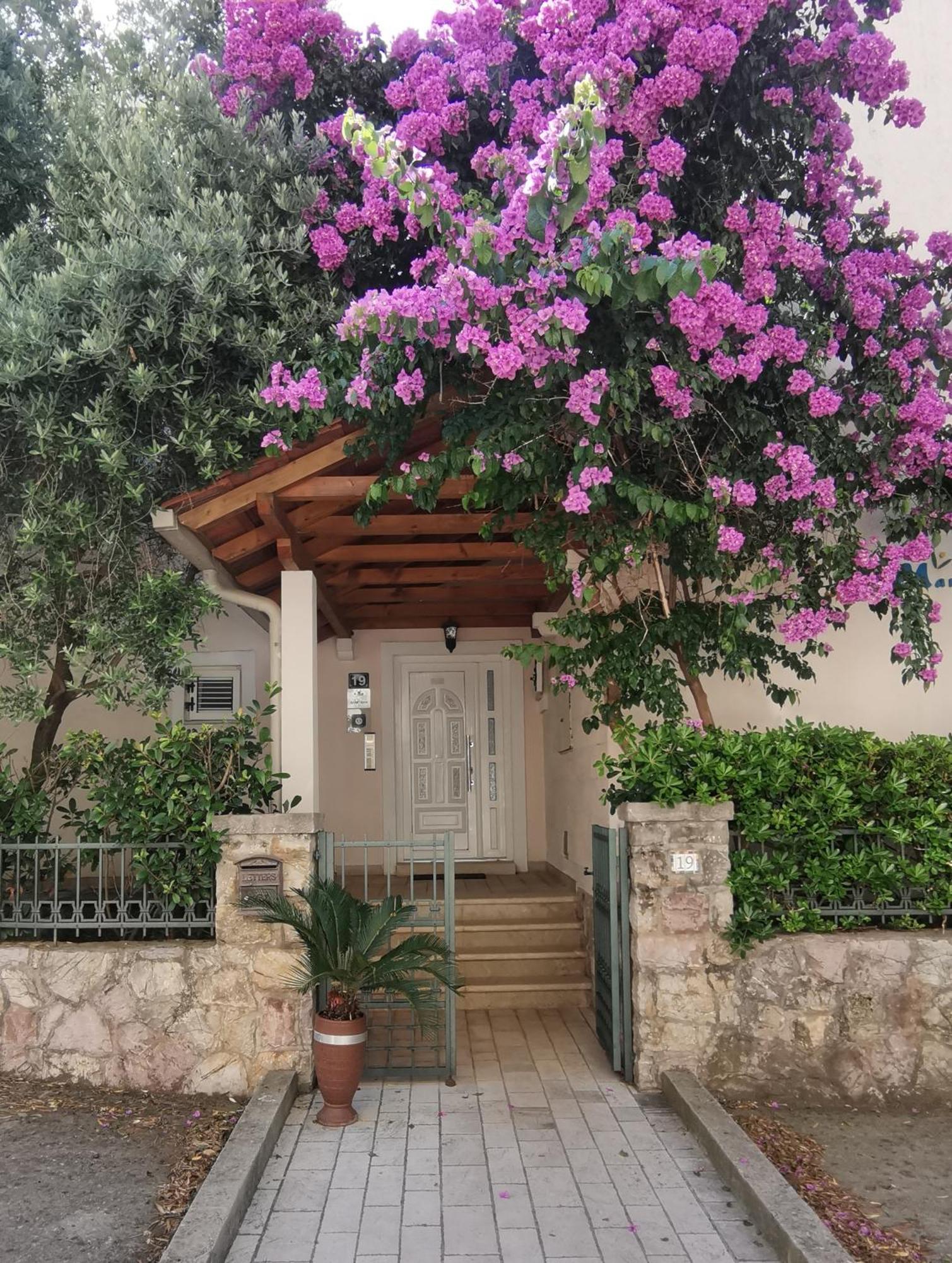Apartments Maris Petrovac Luaran gambar