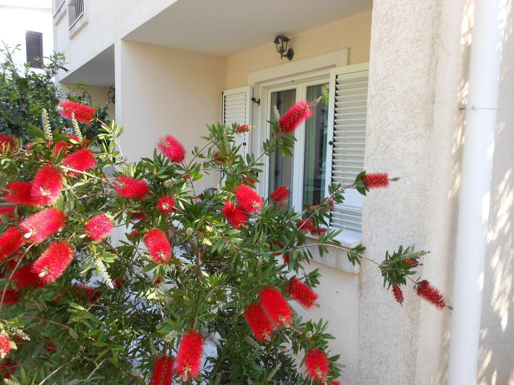 Apartments Maris Petrovac Bilik gambar